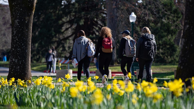 UO campus in spring